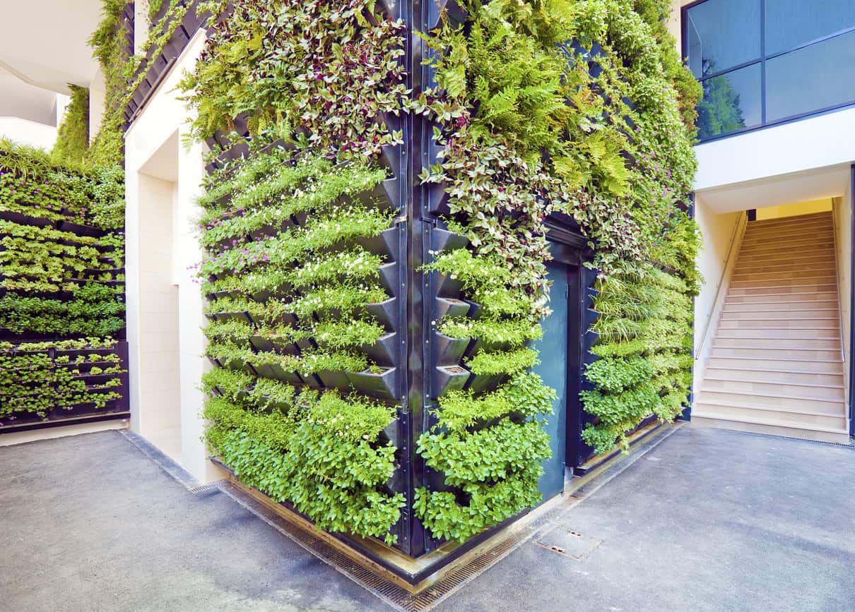 example-green-wall-interior-hs-may27