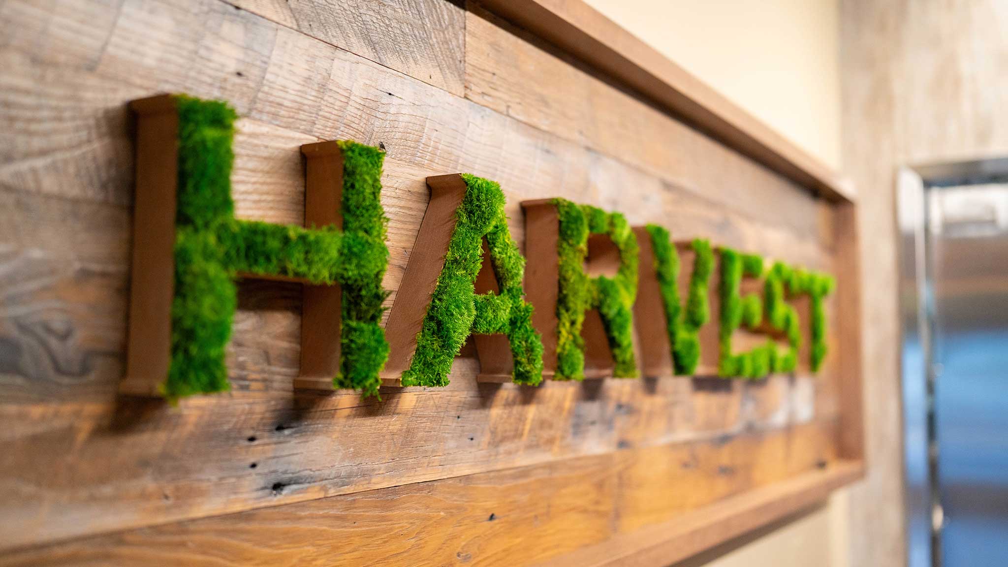 harvest-nw-gallery-7